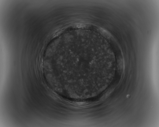 X0000086090653200703301152