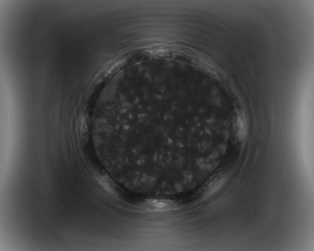 X0000086090654200703301152