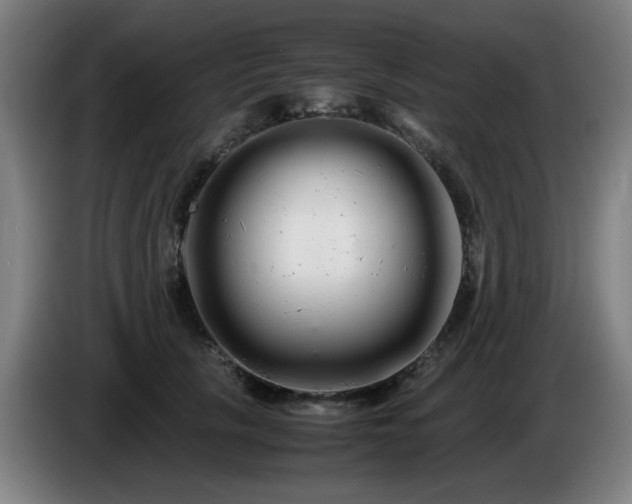 X0000086090657200703301152