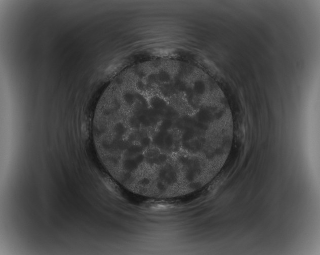 X0000086090658200703301152