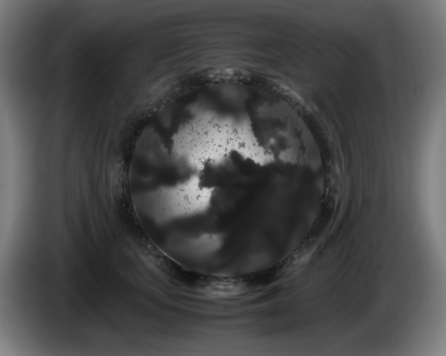 X0000086090659200703301152