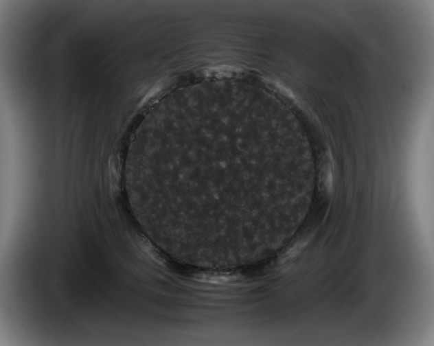 X0000086090661200703301152