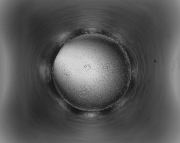 X0000086090662200703301152