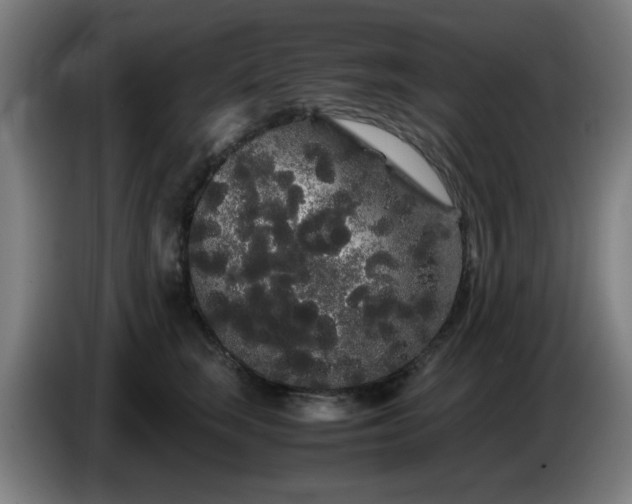 X0000086090663200703301152