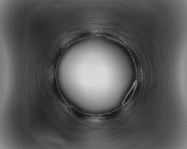 X0000086090664200703301152