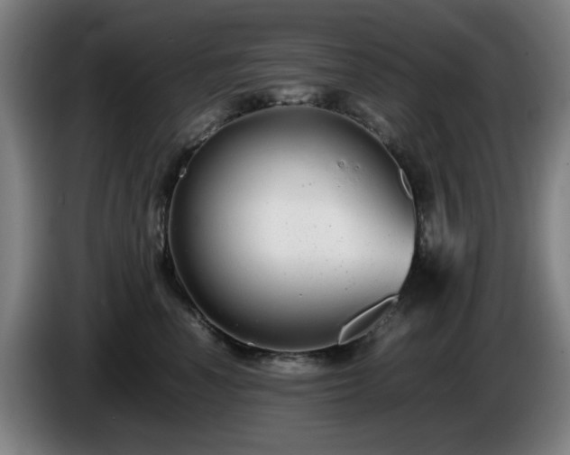 X0000086090666200703301152