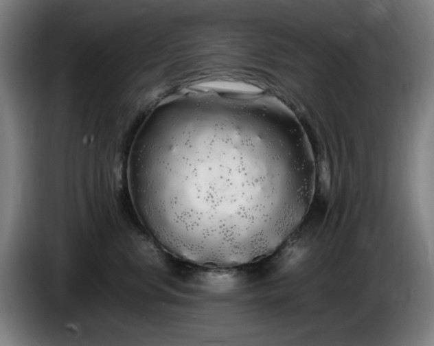 X0000086090668200703301152