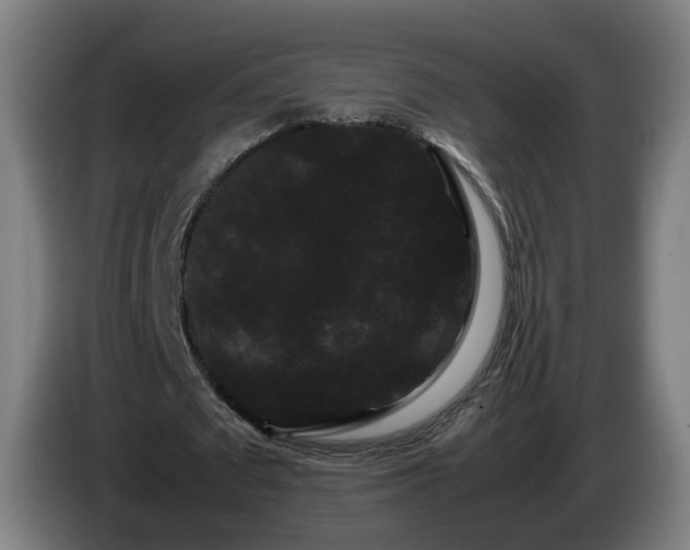 X0000086090673200703301151