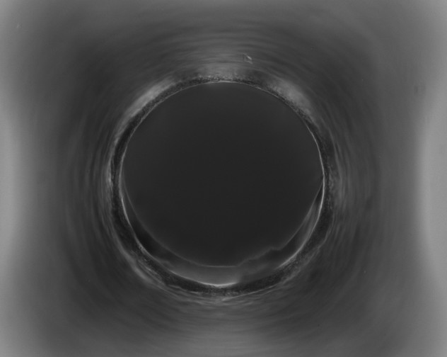 X0000086090674200703301151