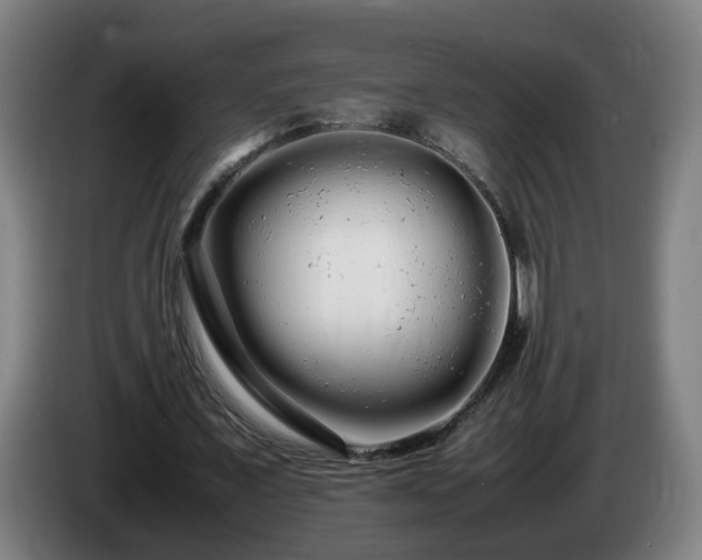 X0000086090675200703301151