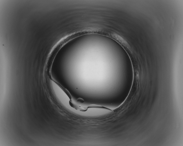 X0000086090676200703301151