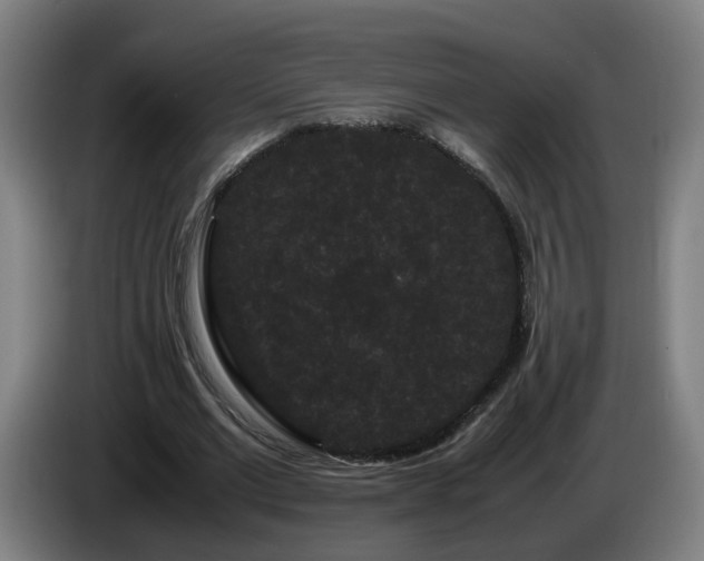 X0000086090677200703301151