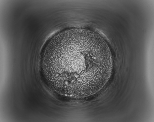 X0000086090679200703301151