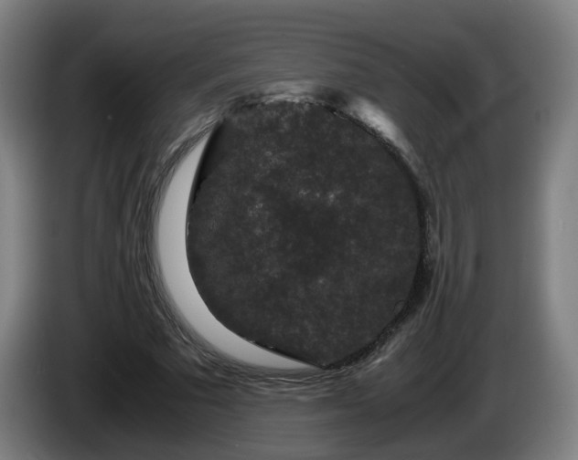 X0000086090681200703301151