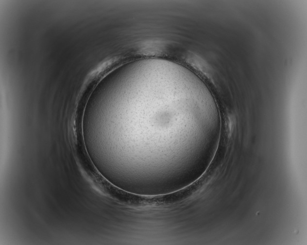 X0000086090682200703301151