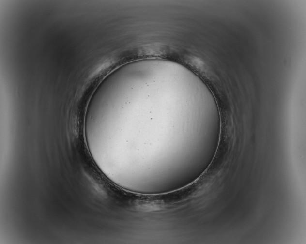 X0000086090683200703301151