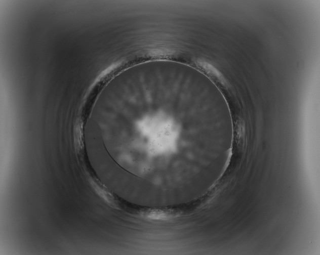 X0000086090684200703301151