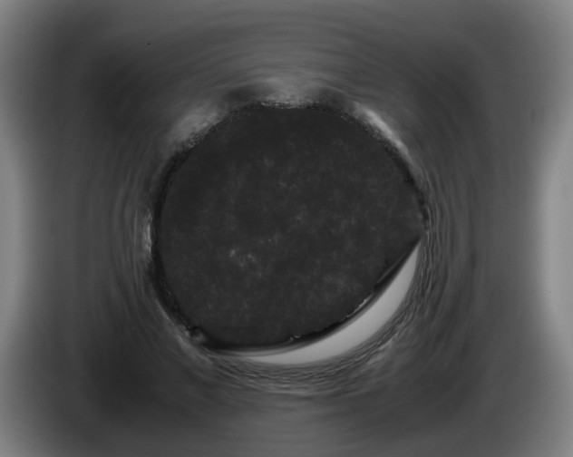 X0000086090685200703301151