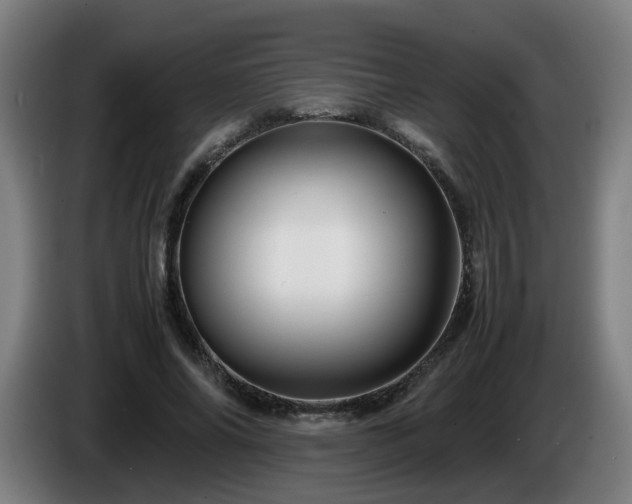 X0000086090686200703301151