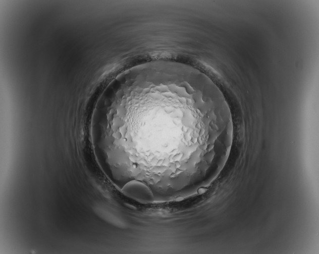 X0000086090687200703301151