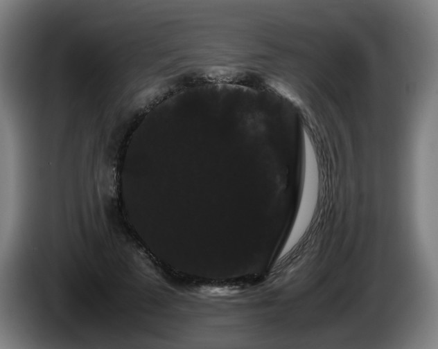 X0000086090689200703301151