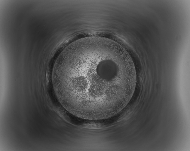 X0000086090691200703301151