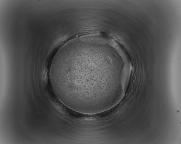 X0000086090692200703301151