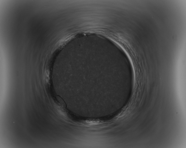 X0000086090693200703301151