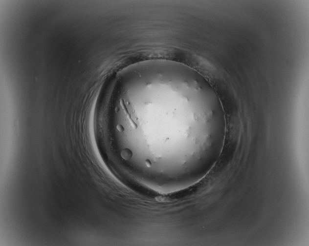 X0000086090695200703301151