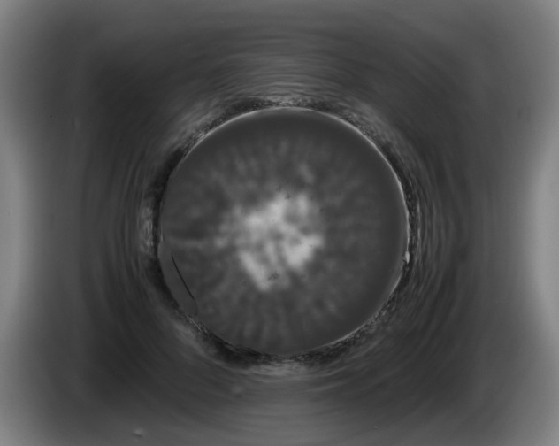 X0000086090696200703301151