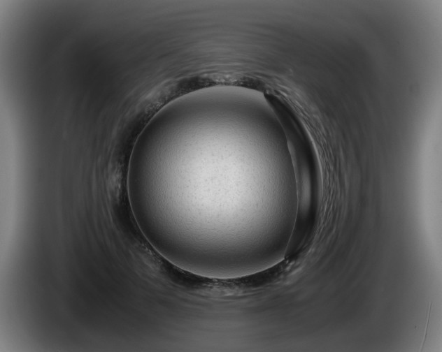 X0000086090697200703301151