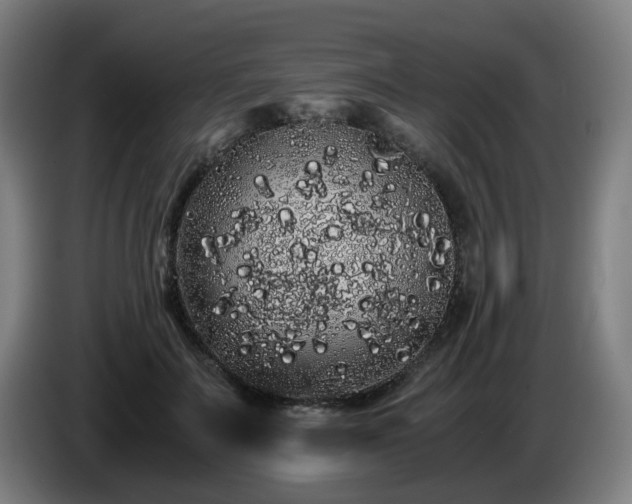 X0000086090699200703301151