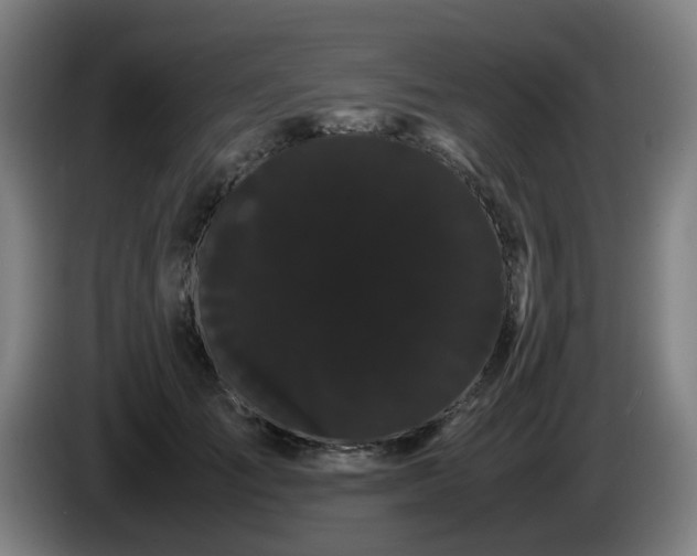 X0000086090701200703301151