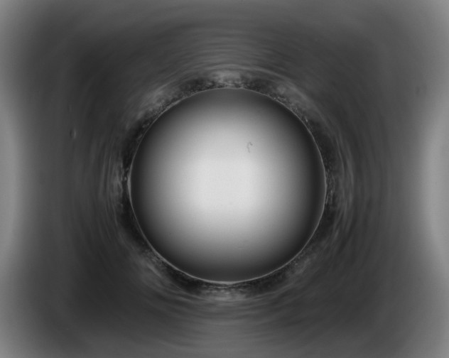 X0000086090702200703301151