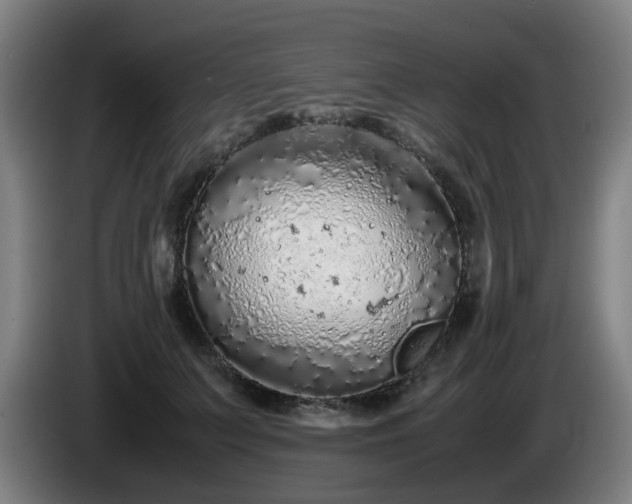 X0000086090703200703301151