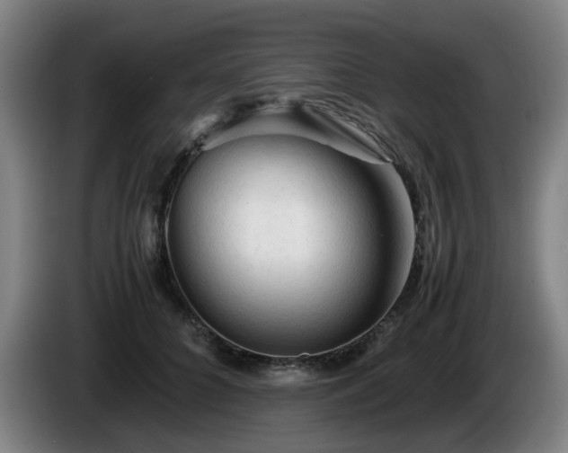 X0000086090704200703301151