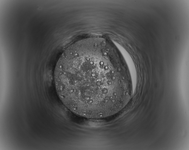 X0000086090707200703301151