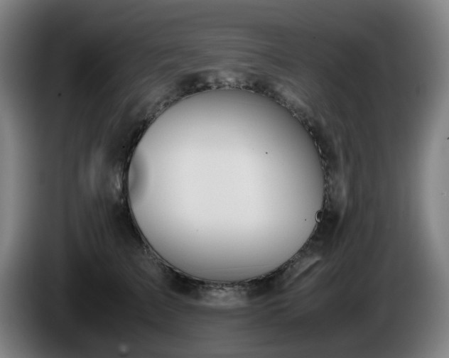 X0000086090709200703301151