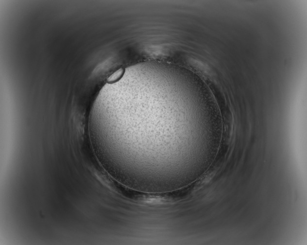 X0000086090710200703301151