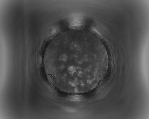 X0000086090711200703301151