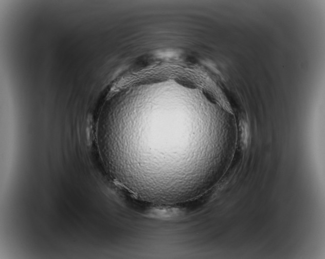 X0000086090712200703301151