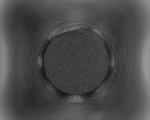 X0000086090715200703301151