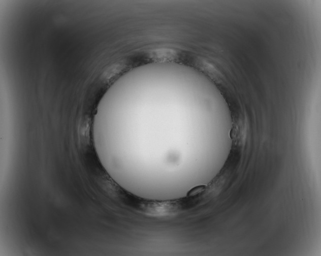 X0000086090717200703301151