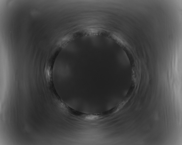 X0000086090718200703301151