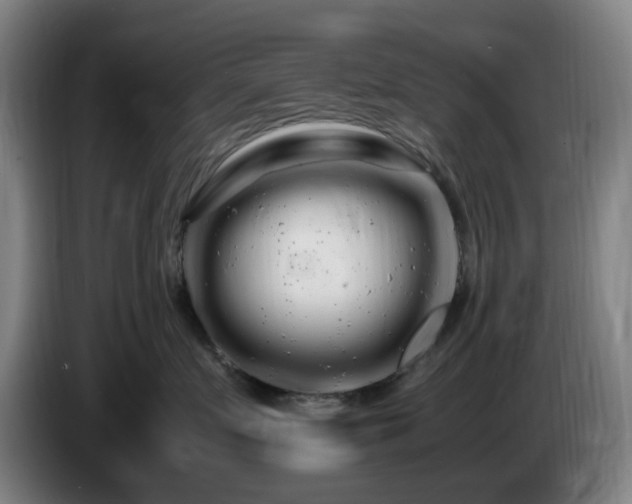 X0000086090719200703301151