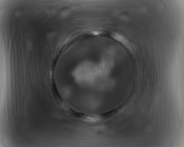 X0000086090720200703301151