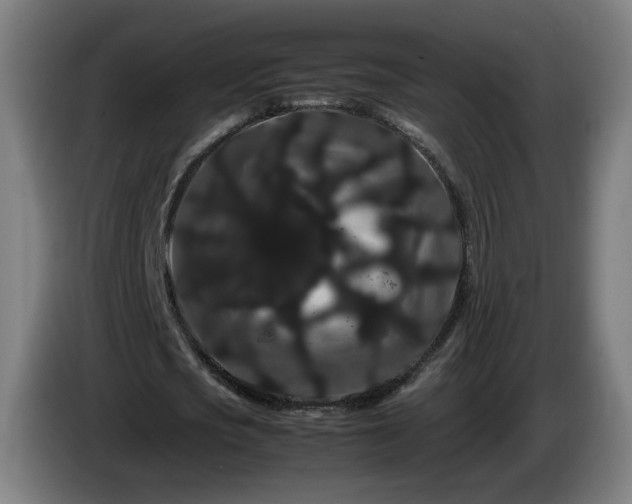 X0000086090721200703301150