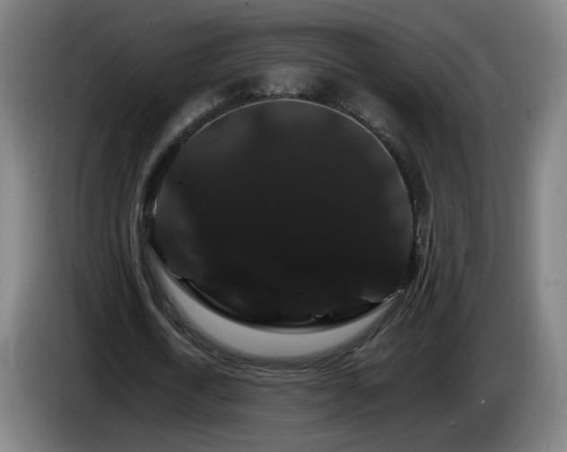 X0000086090722200703301150