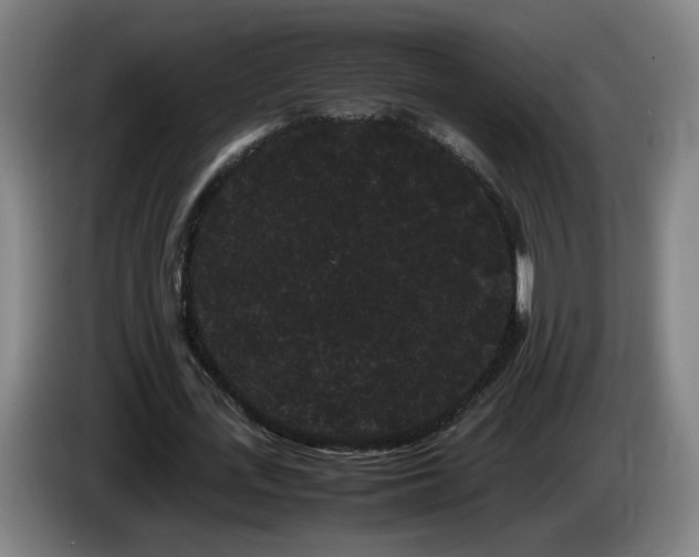 X0000086090723200703301150