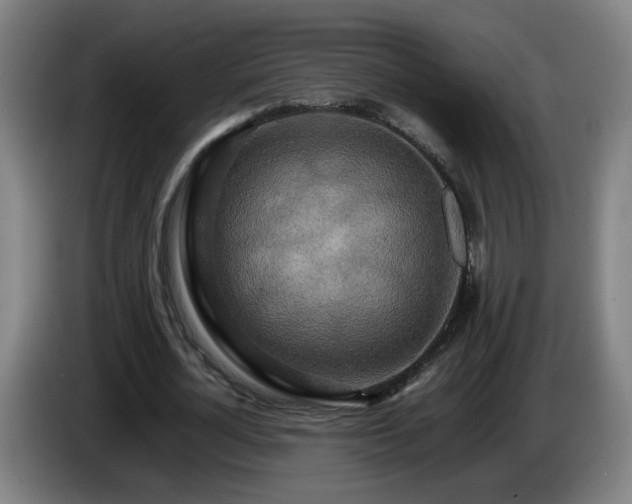 X0000086090724200703301150